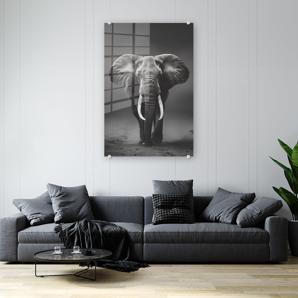 glasschilderij-majestueuze-olifant-woonkamer