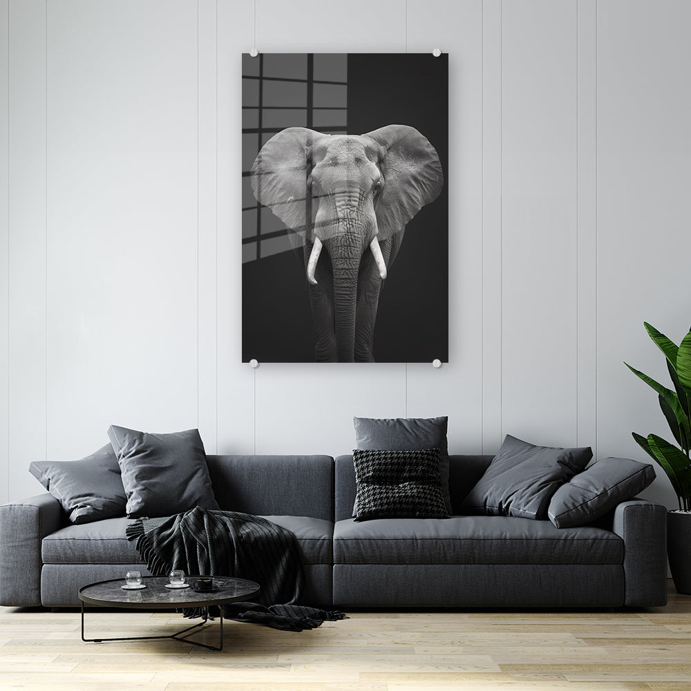 glasschilderij-olifant-zwart-wit-woonkamer